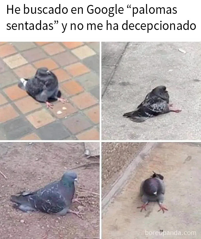 20 Memes divertidos para echarte unas buenas risas