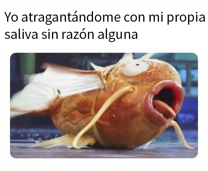 20 Memes divertidos para echarte unas buenas risas