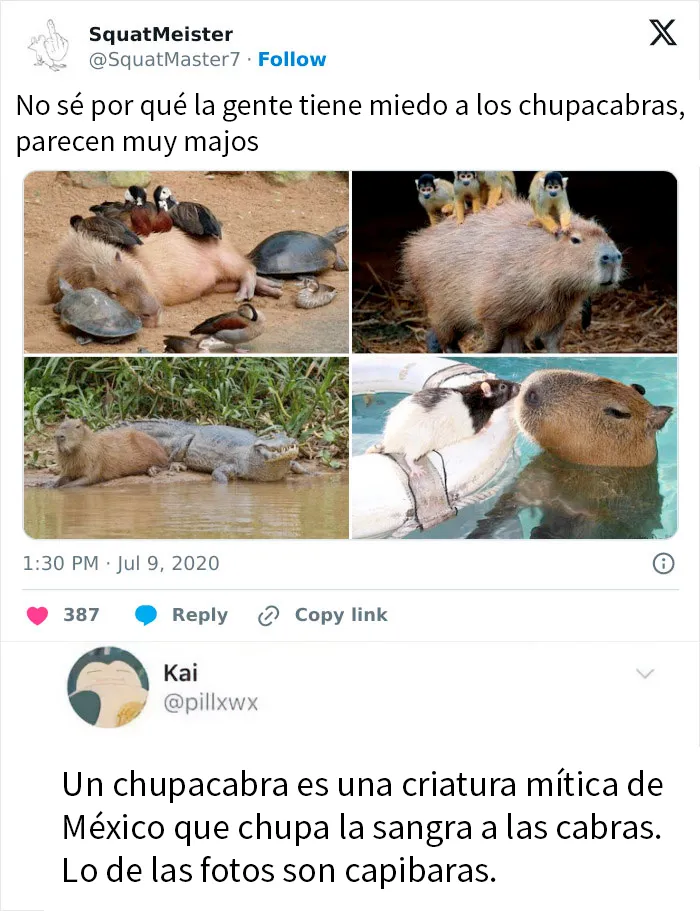 20 Divertidos memes sobre madres y mucho más que te harán reír