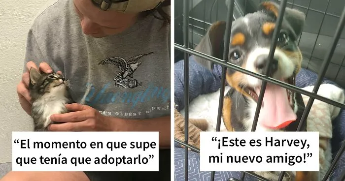 43 Conmovedoras fotos de mascotas adoptadas que por fin encontraron su hogar para siempre