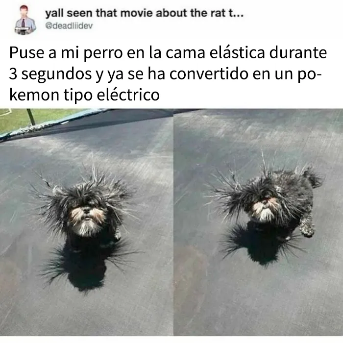 20 Publicaciones reconfortantes para combatir la negatividad del mundo