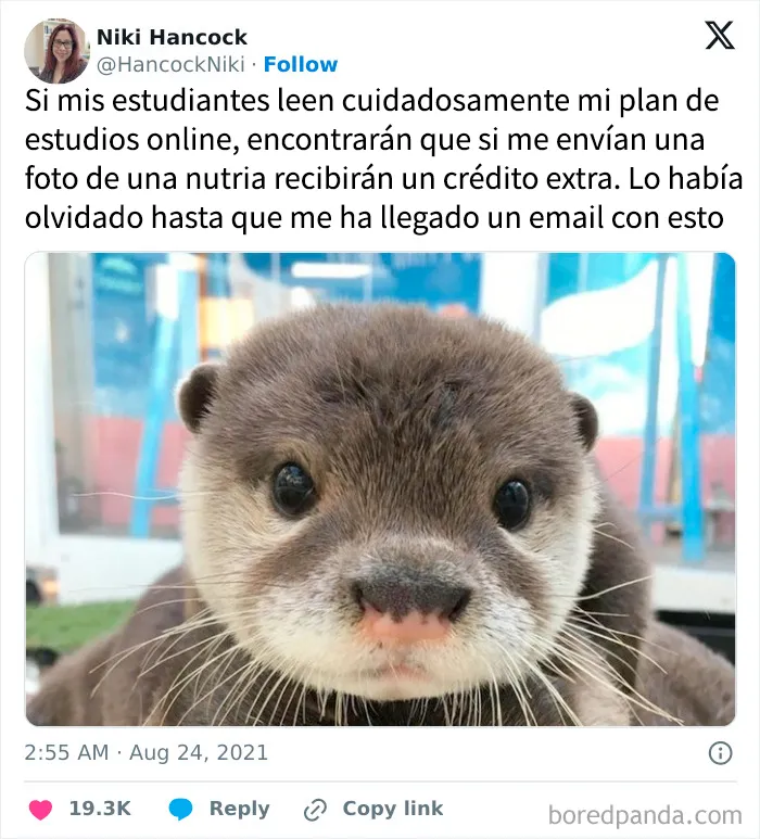 20 Publicaciones reconfortantes para combatir la negatividad del mundo