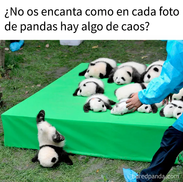 20 Publicaciones reconfortantes para combatir la negatividad del mundo