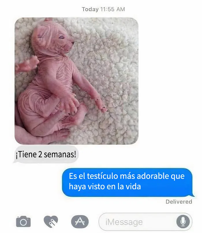20 Publicaciones reconfortantes para combatir la negatividad del mundo
