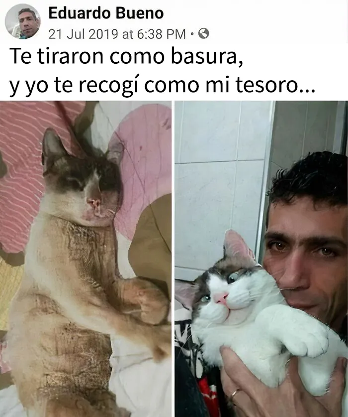 20 Publicaciones reconfortantes para combatir la negatividad del mundo