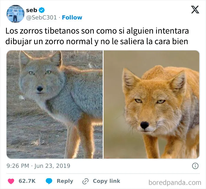 20 Publicaciones reconfortantes para combatir la negatividad del mundo