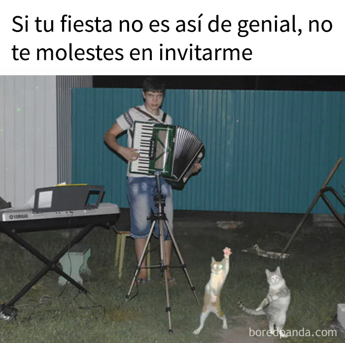 20 Publicaciones reconfortantes para combatir la negatividad del mundo
