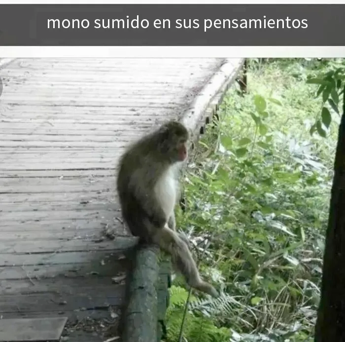 20 Imágenes tan divertidas como caóticas compartidas en esta cuenta de Instagram