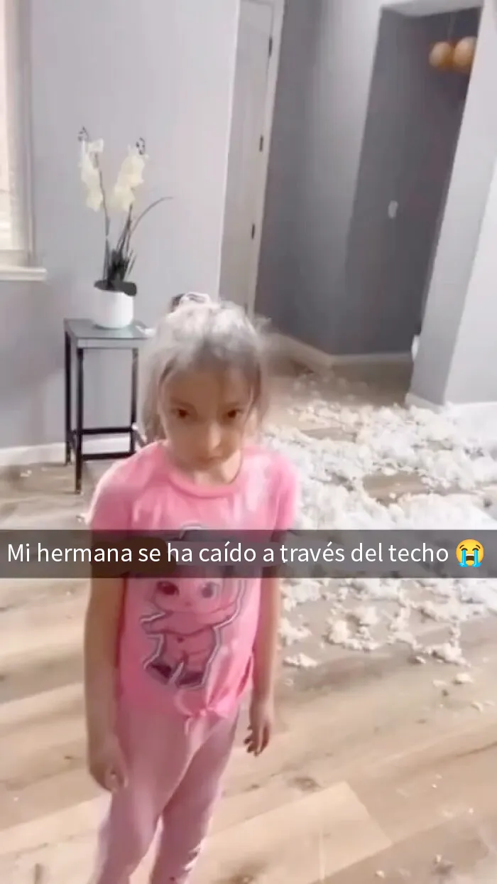 20 Imágenes tan divertidas como caóticas compartidas en esta cuenta de Instagram