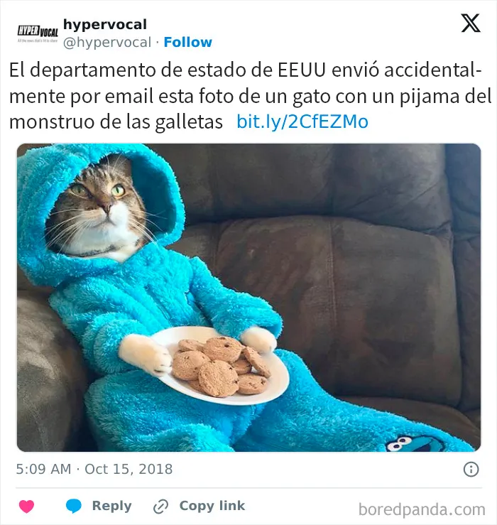 La embajada de EE.UU. en Canberra, Australia, envió accidentalmente por email al Departamento de Estado una invitación a una «reunión» en la que aparecía un gato con un pijama del Monstruo de las Galletas.