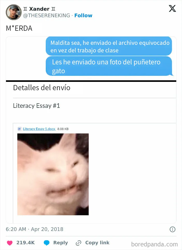 Un gato mejor que un trabajo