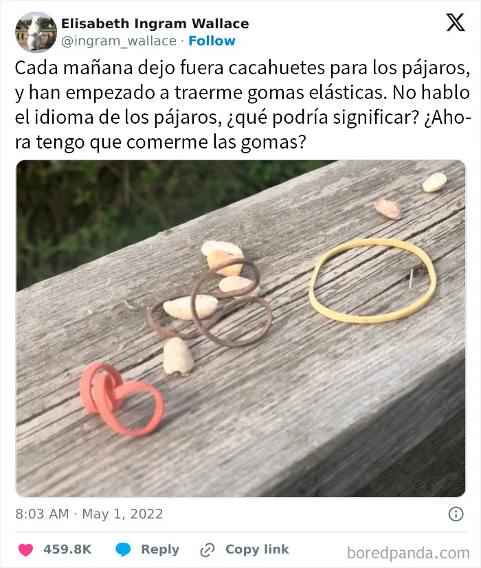 20 Entretenidas publicaciones y memes para que no te aburras hoy