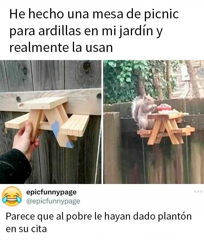 20 Entretenidas publicaciones y memes para que no te aburras hoy
