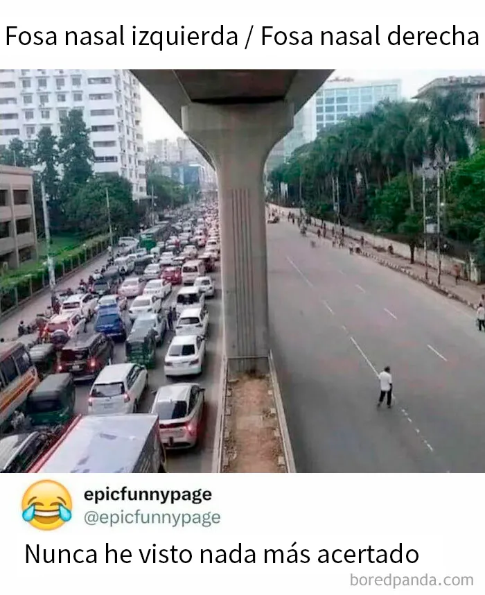20 Entretenidas publicaciones y memes para que no te aburras hoy