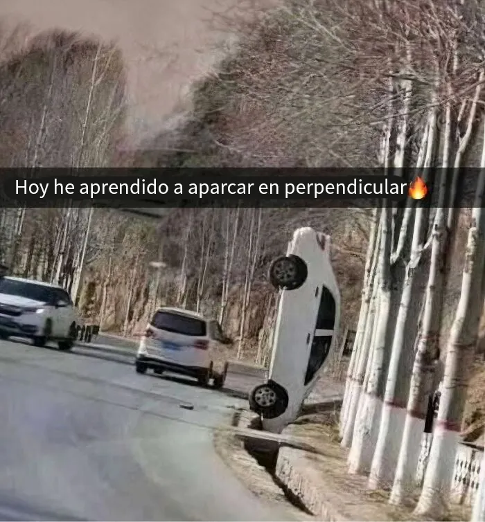 20 Entretenidas publicaciones y memes para que no te aburras hoy