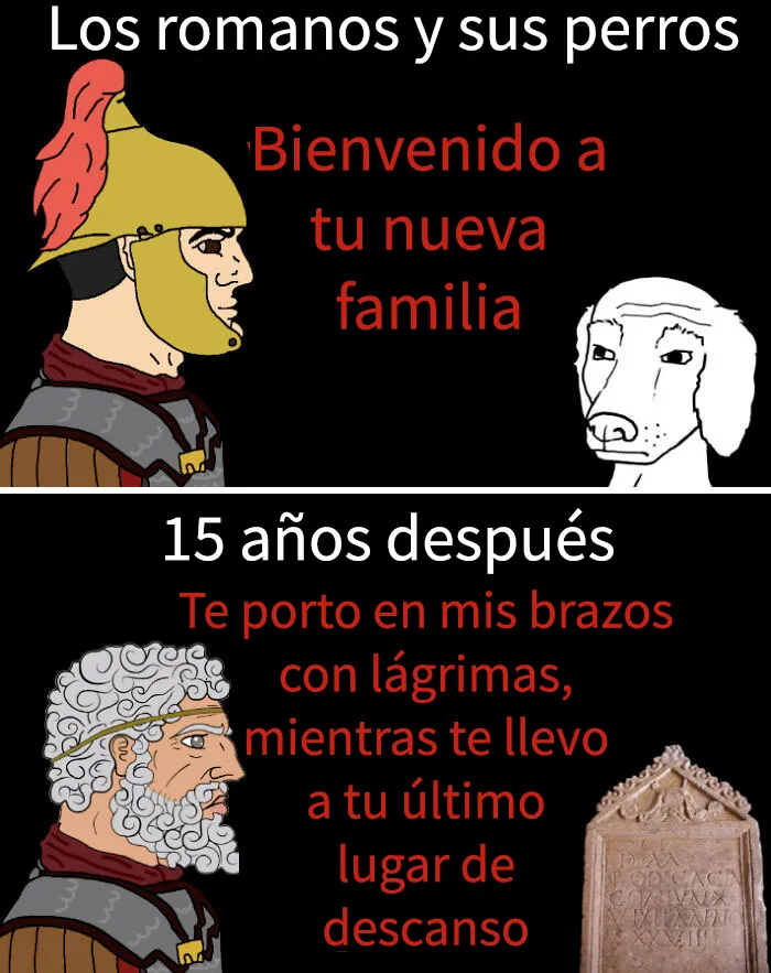 Conmovedor