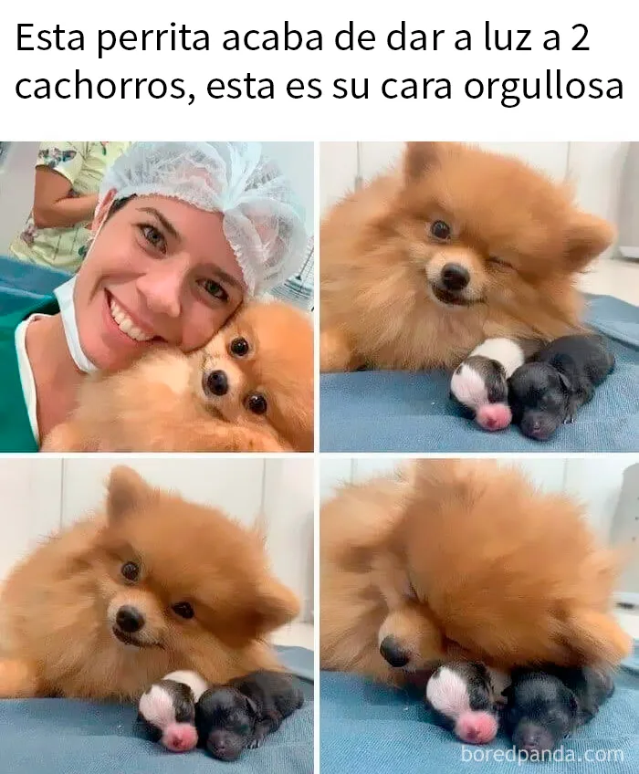 20 Divertidos memes para cuando necesites tomarte un respiro de la vida