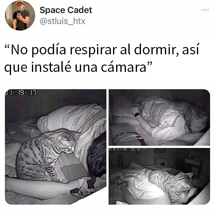 20 Divertidos memes para cuando necesites tomarte un respiro de la vida