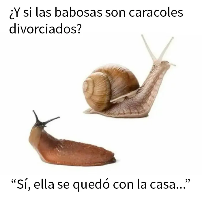 20 Divertidos memes para cuando necesites tomarte un respiro de la vida