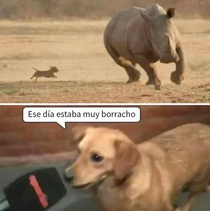 20 Divertidos memes para cuando necesites tomarte un respiro de la vida