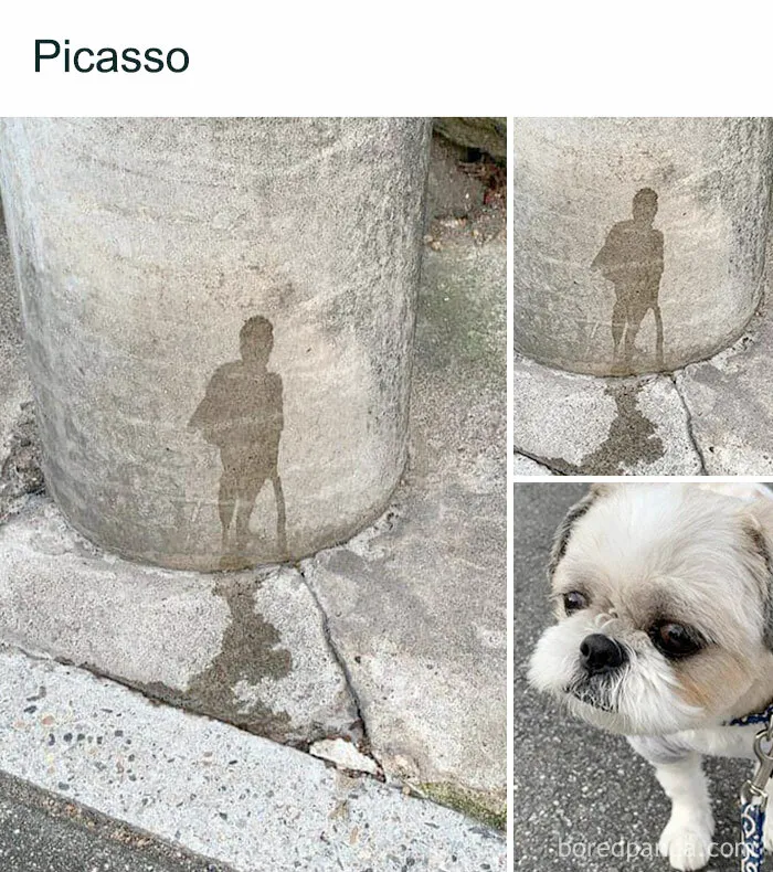 20 Divertidos memes para cuando necesites tomarte un respiro de la vida