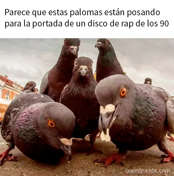 20 Divertidos memes para cuando necesites tomarte un respiro de la vida