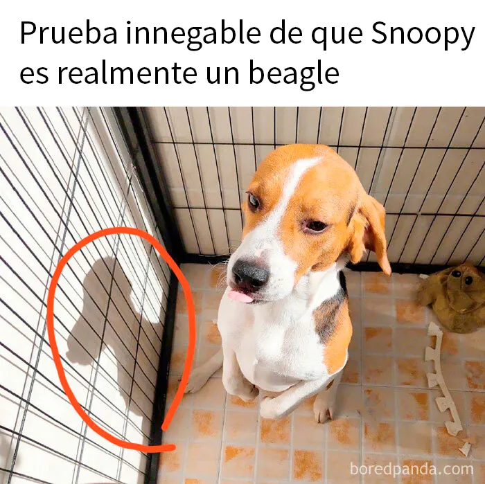 20 Divertidos memes para cuando necesites tomarte un respiro de la vida