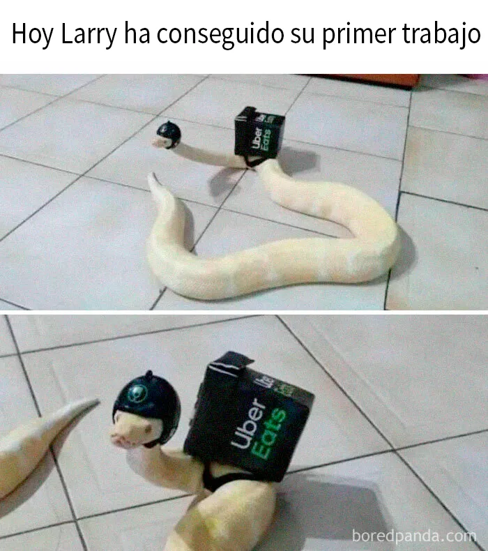 20 Divertidos memes para cuando necesites tomarte un respiro de la vida