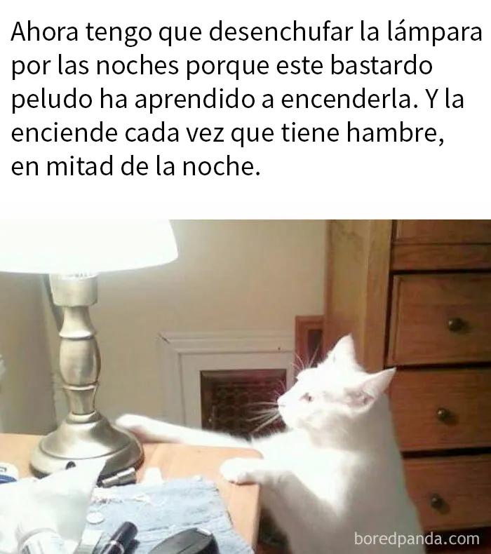 20 Divertidos memes para cuando necesites tomarte un respiro de la vida
