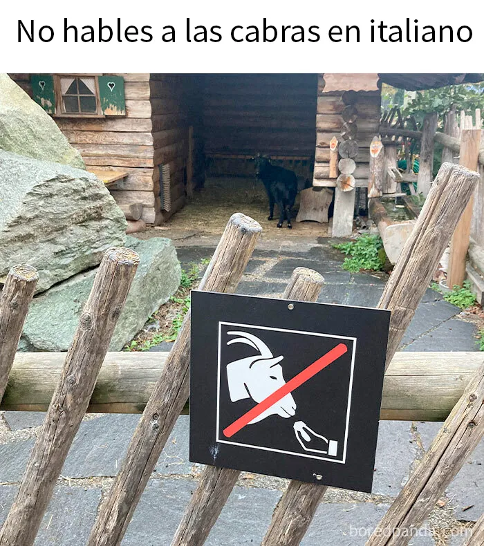 20 Divertidos memes para cuando necesites tomarte un respiro de la vida
