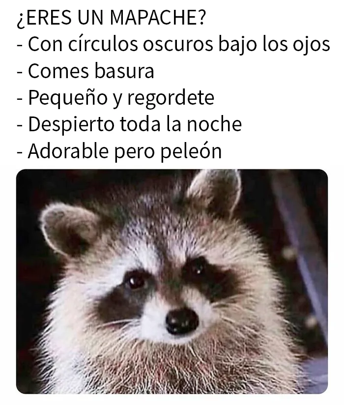 20 Divertidos memes para cuando necesites tomarte un respiro de la vida