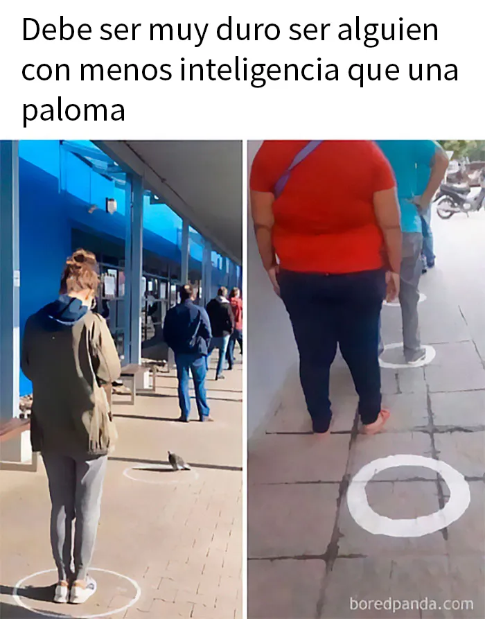 20 Réplicas muy ingeniosas vistas en internet (nuevas imágenes)