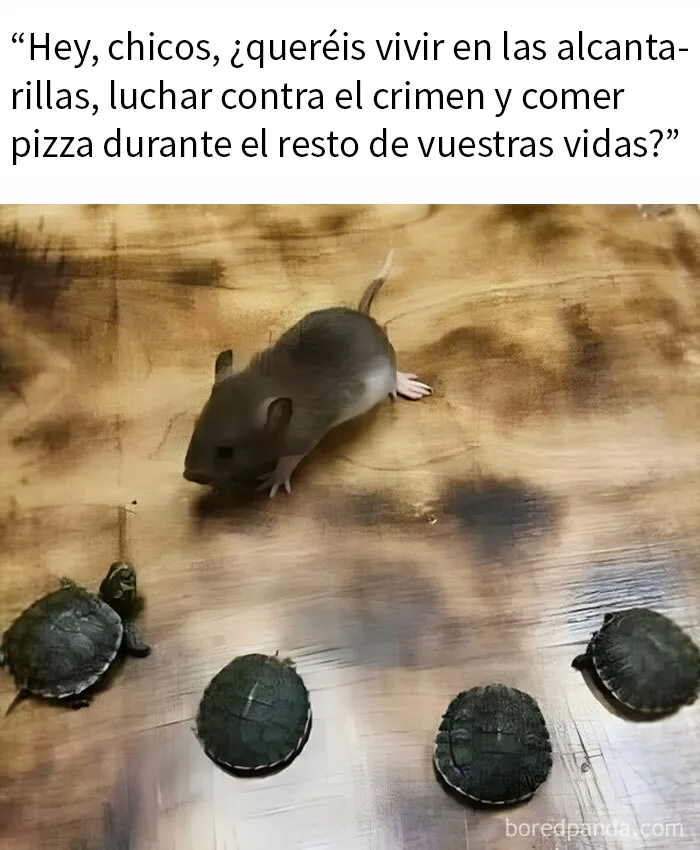 20 Memes e imágenes de animales tan divertidos como reconfortantes para hacerte sonreír