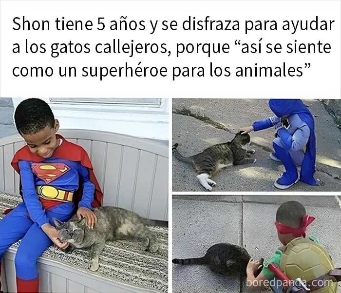 20 Memes e imágenes de animales tan divertidos como reconfortantes para hacerte sonreír