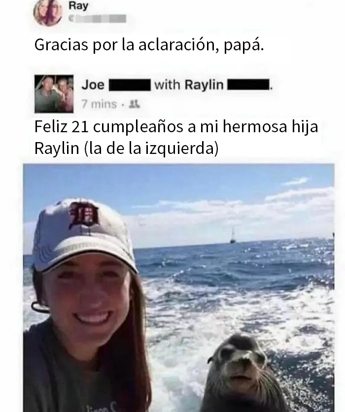 20 Memes e imágenes de animales tan divertidos como reconfortantes para hacerte sonreír