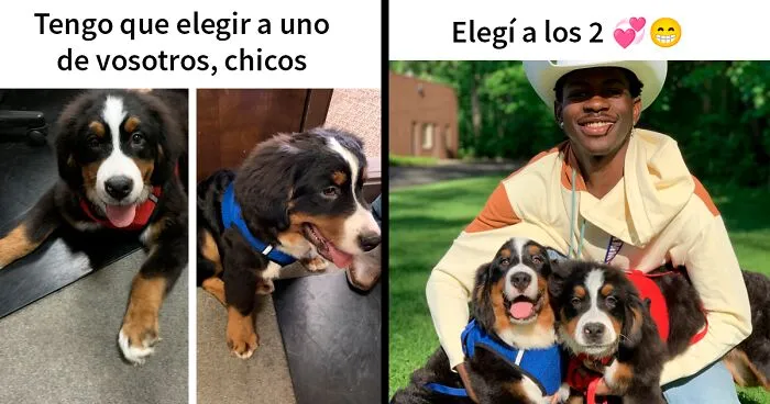 16 Capturas de pantalla de gente viviendo un "arco de personaje" en la vida real