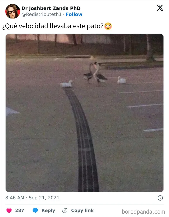 20 Imágenes tan confusas como divertidas que quizá necesitan cierto contexto
