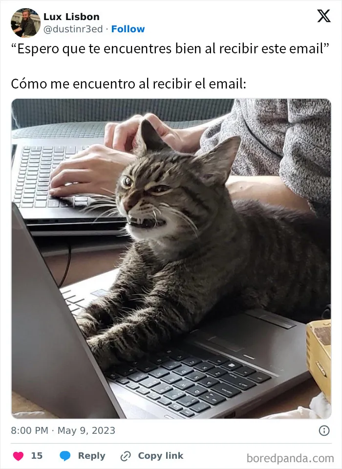 20 Divertidas publicaciones burlándose de la cultura del email en el trabajo