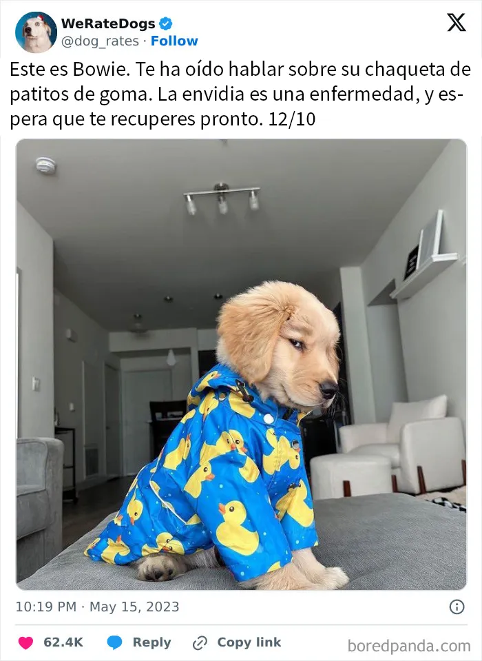 20 Personas que pidieron una valoración de sus perros y recibieron respuestas buenísimas