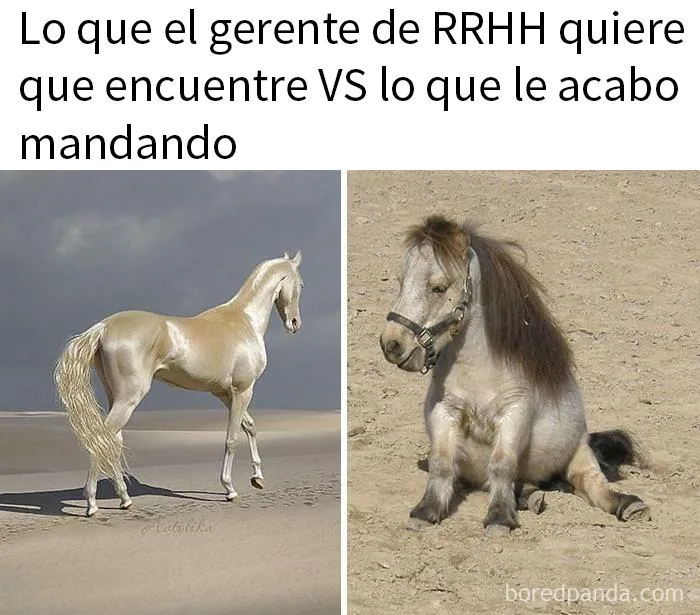 20 Divertidos memes sobre el trabajo de reclutador de personal