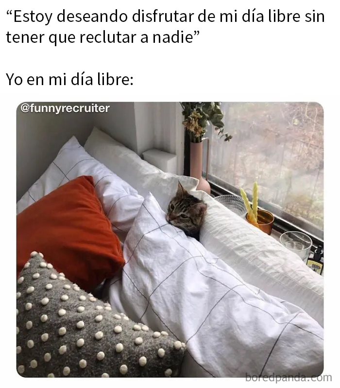 20 Divertidos memes sobre el trabajo de reclutador de personal
