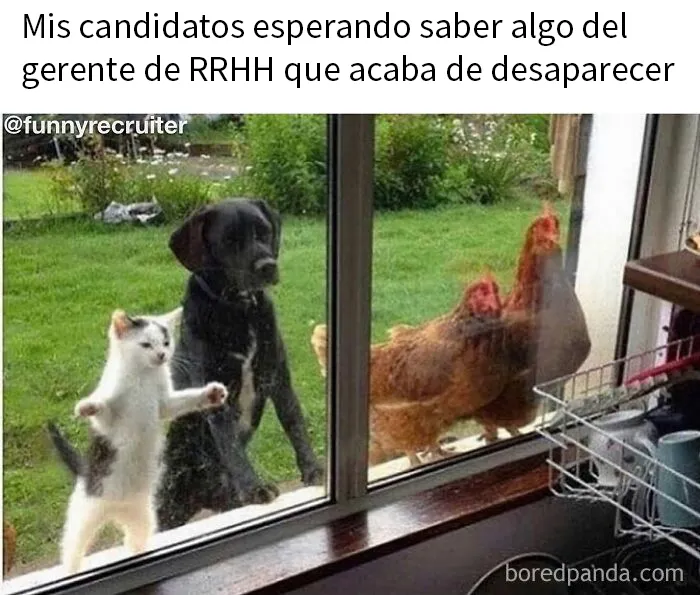 20 Divertidos memes sobre el trabajo de reclutador de personal