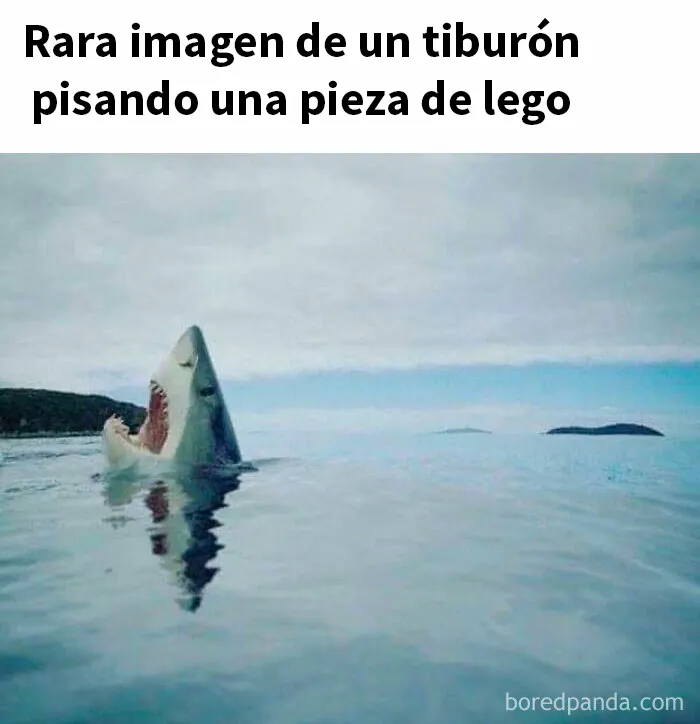 20 Divertidos memes bien cargados de sarcasmo