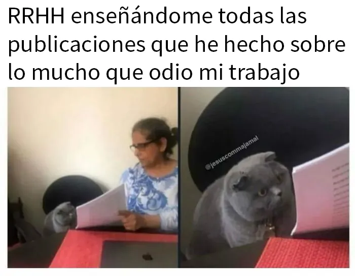20 Divertidos memes sobre el trabajo y la vida adulta que te harán reír y llorar a la vez