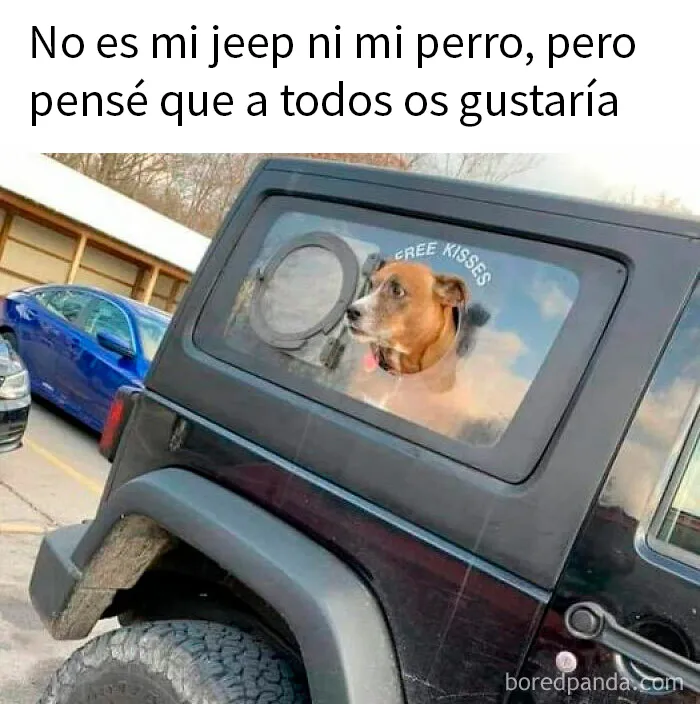 20 Memes reconfortantes para alegrarte el día (nuevas imágenes)