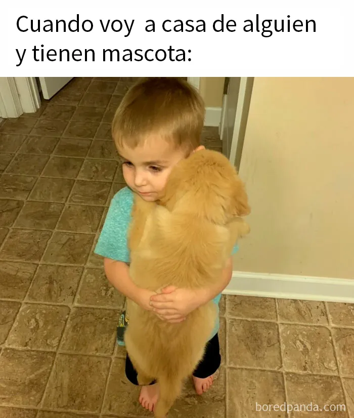 20 Memes reconfortantes para alegrarte el día (nuevas imágenes)
