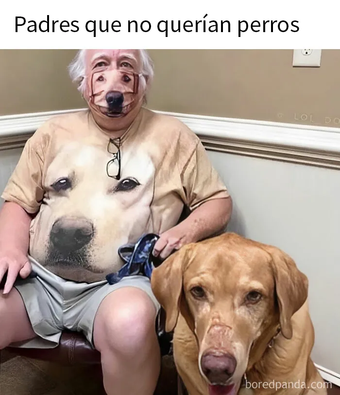 20 Memes reconfortantes para alegrarte el día (nuevas imágenes)