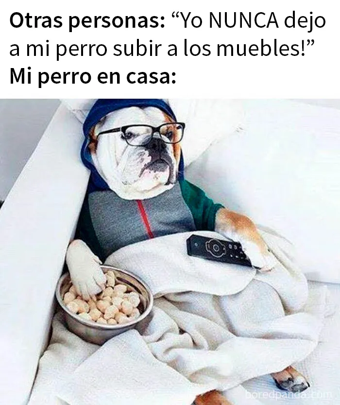 20 Memes reconfortantes para alegrarte el día (nuevas imágenes)