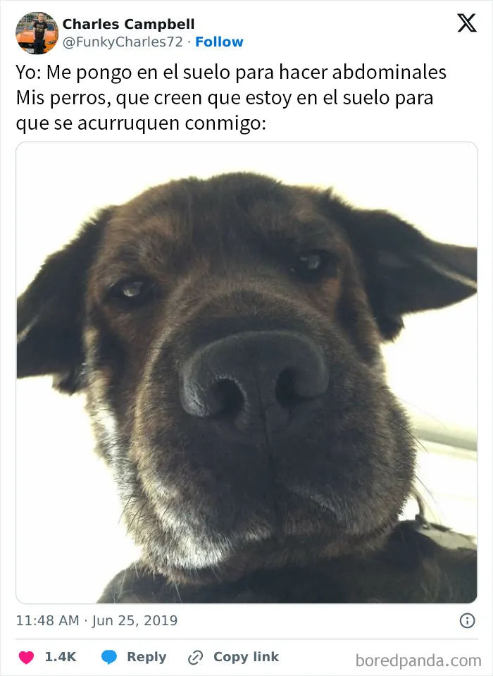 20 Memes reconfortantes para alegrarte el día (nuevas imágenes)