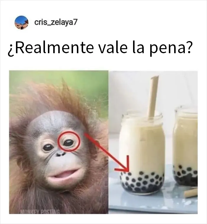 20 Memes de los que cuesta no reírse aunque te sientas mal por ello